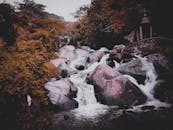 在宁静的环境中，风景秀丽的瀑布从茂密的树叶间流过巨石