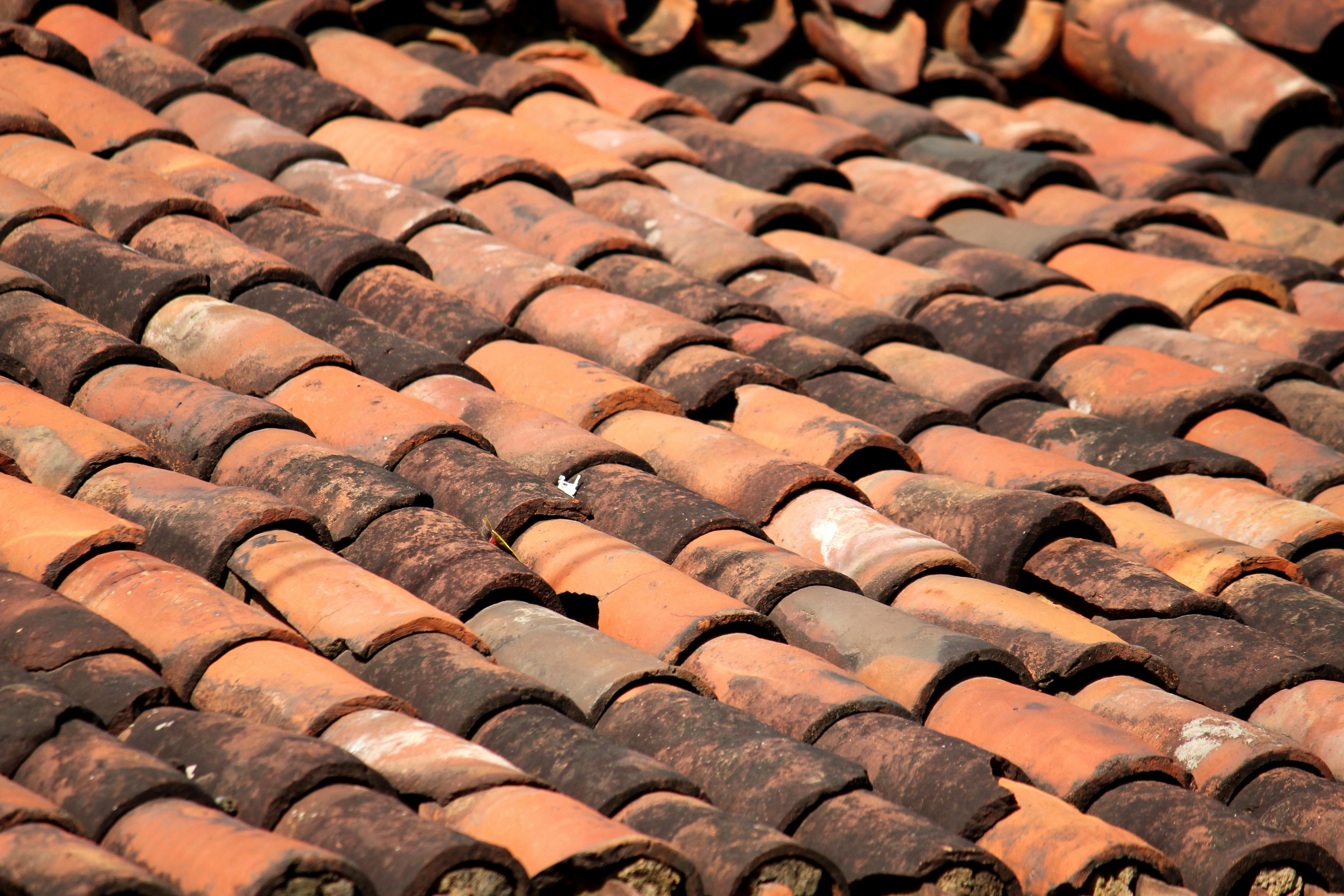 Free stock photo of roof plate, village