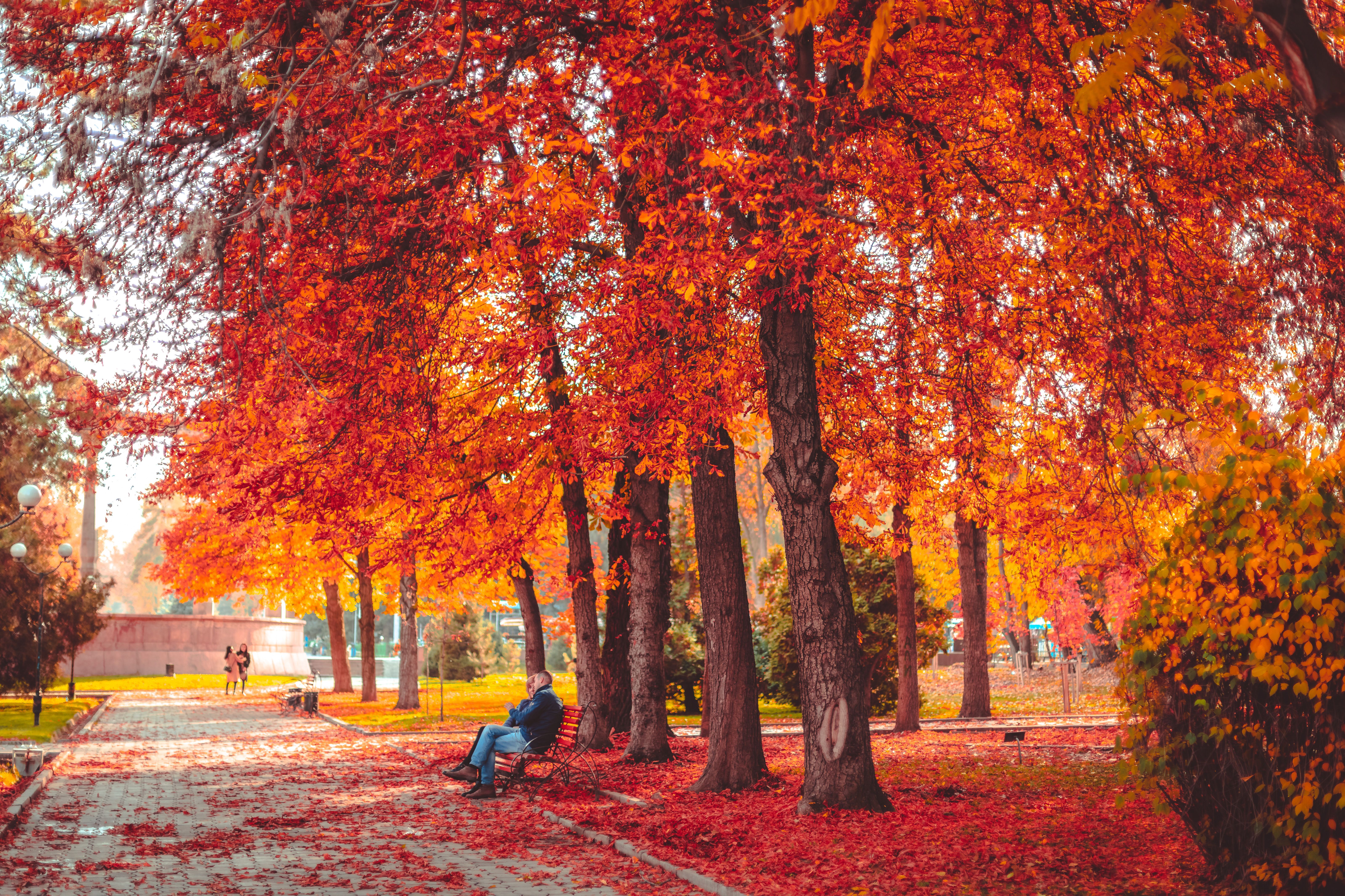 Autumn Travel