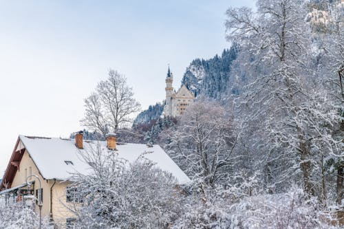 Immagine gratuita di alberi spogli, casa, coperto di neve