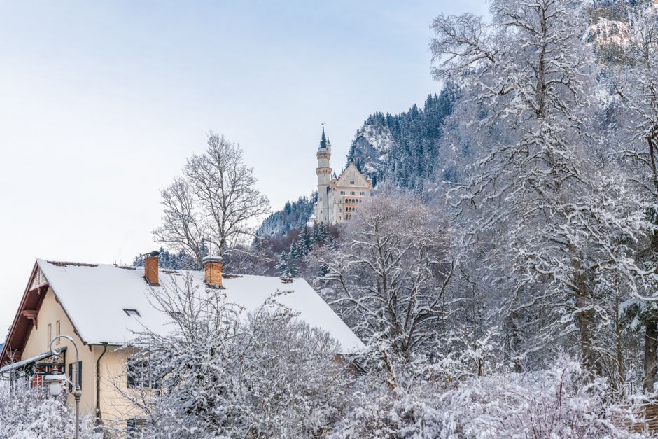 A picturesque view of Neuschwanstein Castle surrounded by snowy trees during winter in Munich, Germany.