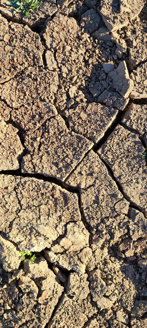 Základová fotografie zdarma na téma arizona, bahno, hnědá