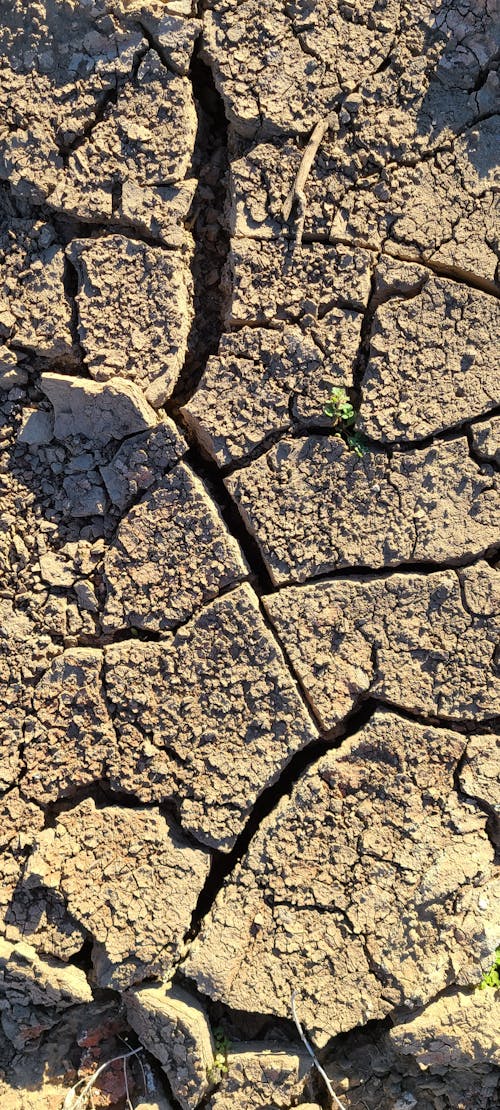 Základová fotografie zdarma na téma arizona, bahno, hnědá
