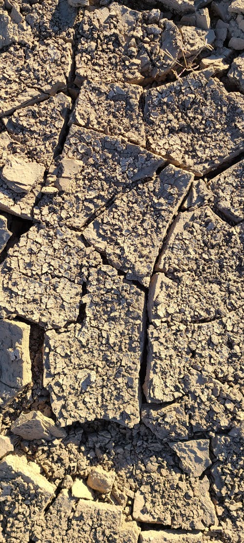 Základová fotografie zdarma na téma arizona, bahno, hnědá