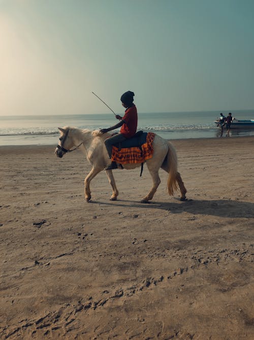Man Riding on a Horse on a Beach 