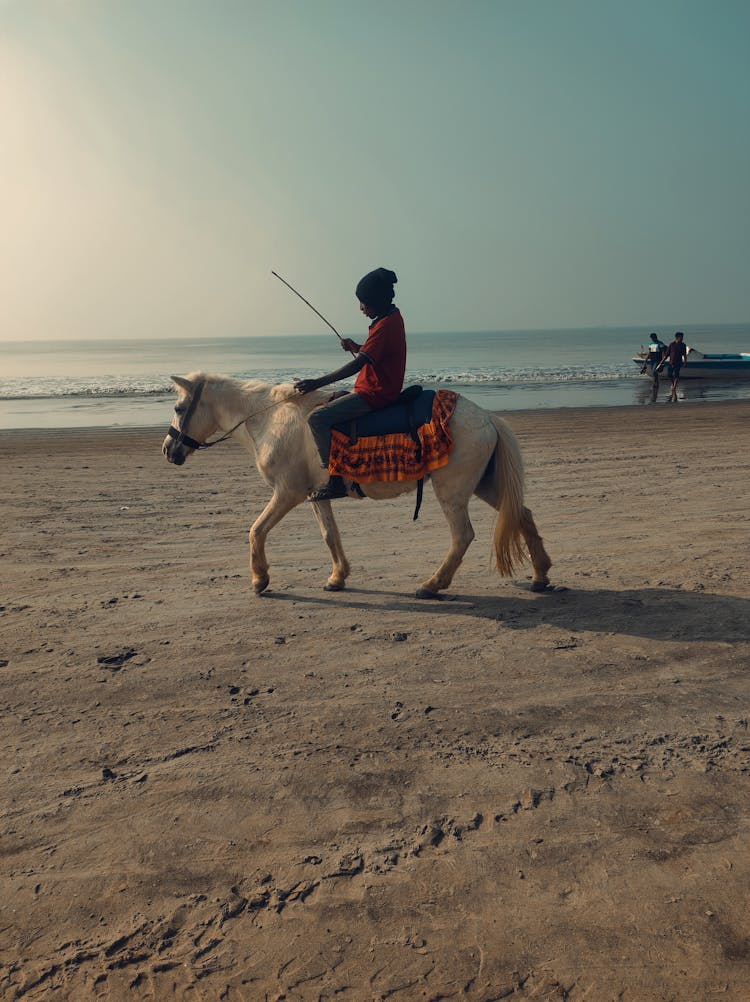 Man Riding On A Horse On A Beach 