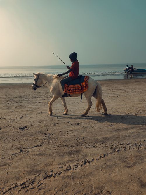 Free A child enjoys a peaceful horseback ride on a sandy beach at twilight, capturing the serenity of the moment. Stock Photo