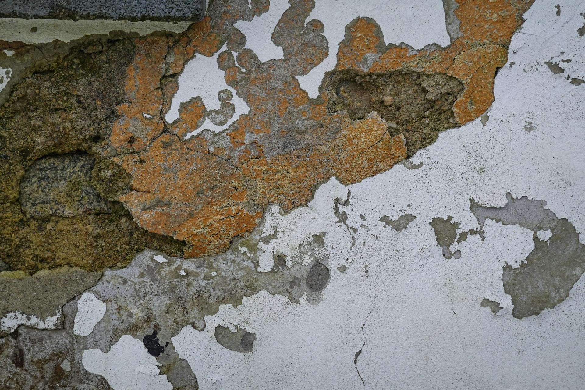 Close-up image showing cracked and weathered texture of an old wall surface.