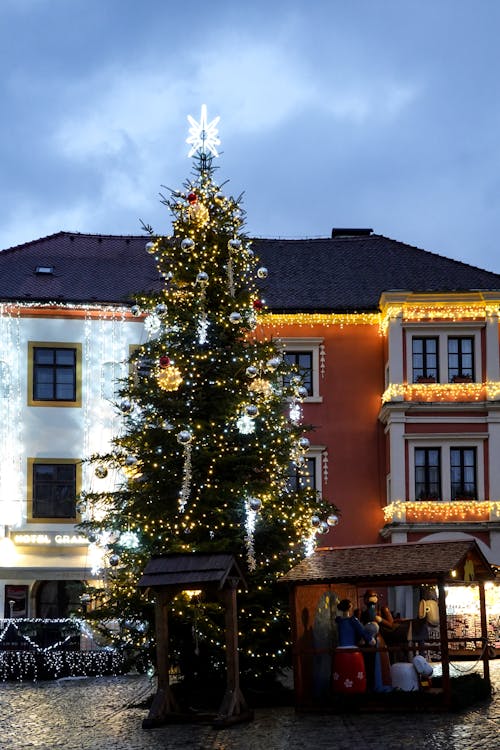 Photos gratuites de arbre de noël, citadin, crépuscule