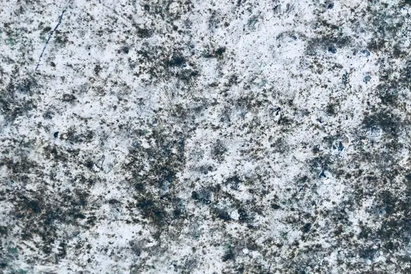 Emergency Mold Removal