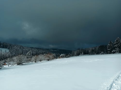 Imagine de stoc gratuită din acoperit de nori, cer, iarnă