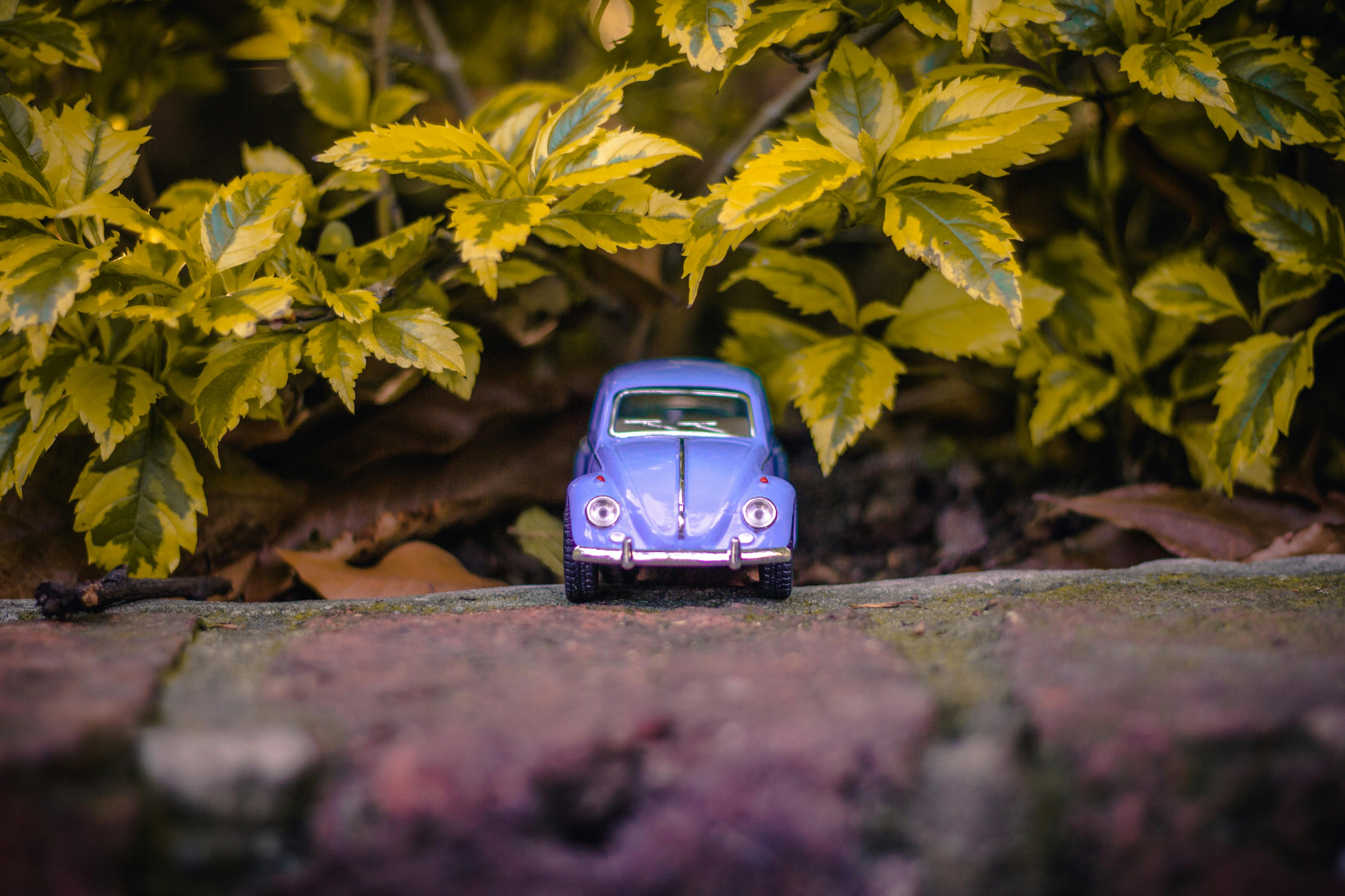 selective focus photography of purple volkswagen beetle near green leaves