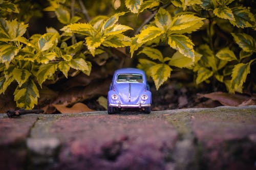 Fotografi Fokus Selektif Volkswagen Beetle Ungu Dekat Daun Hijau
