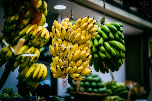 Colorful display of ripe and unripe bananas hanging in a market setting.