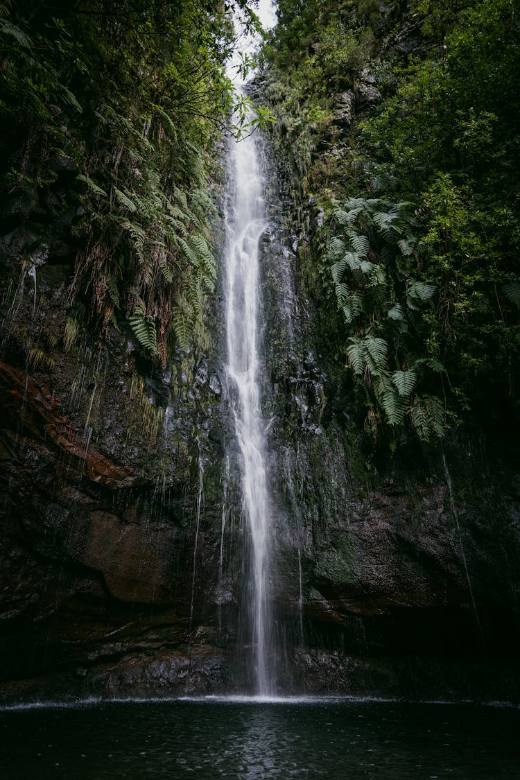 Narrow Waterfall Among Lush Plants Growing On Mountainside