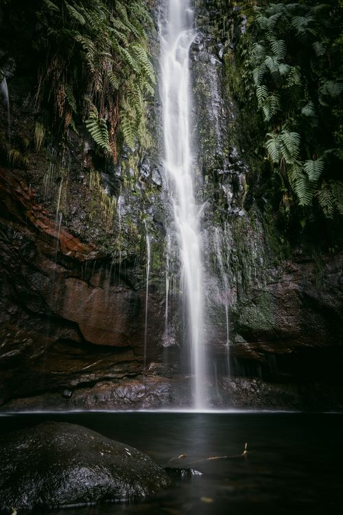 Free Captivating waterfall cascading down mossy rocks in a lush forest setting, evoking tranquility. Stock Photo