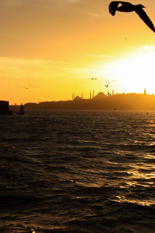 Free Capture of Istanbul skyline at sunset with silhouettes and sea view. Stock Photo