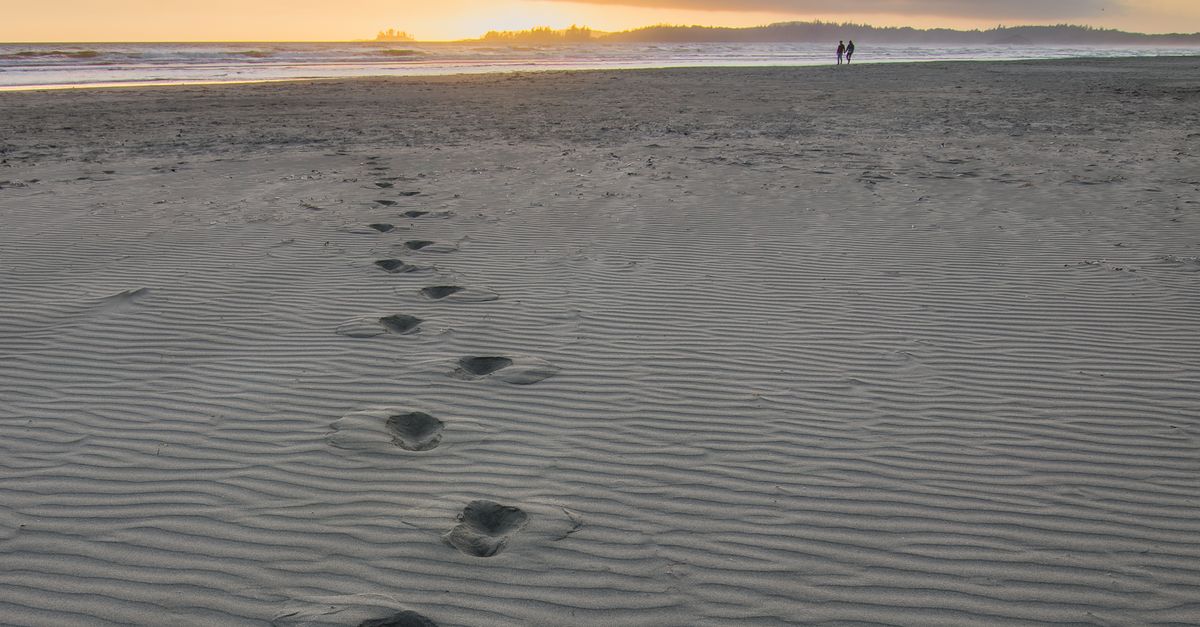 Rüyada Hazal Kaya ile Sahilde Yürümek - Rüya Tabiri ve Anlamı - Tranquil beach scene at sunset with footprints leading to the horizon.