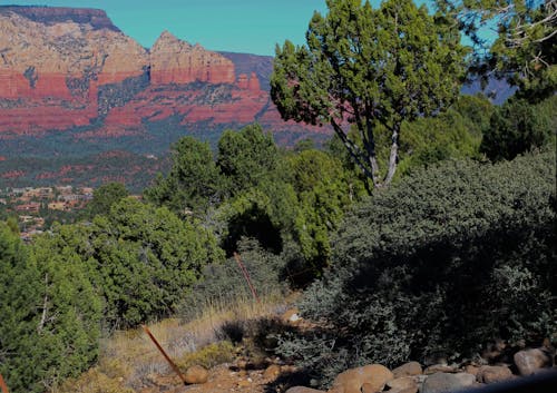 Free stock photo of green, mountain, red rock