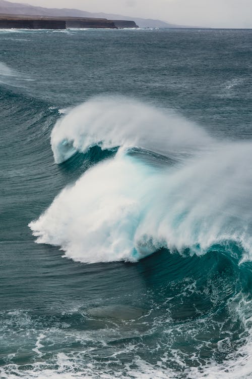 Fotos de stock gratuitas de decir adiós con la mano, mar, medio ambiente