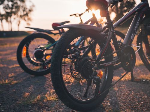 Free Close-up of bicycle wheels during golden hour in a park, Lviv, Ukraine. Stock Photo