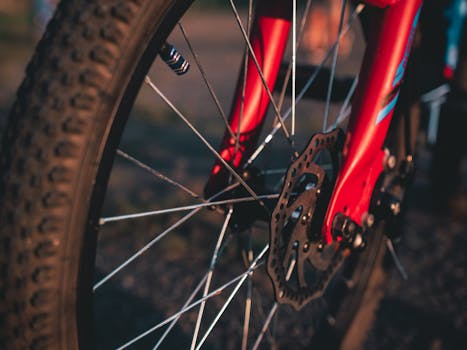 Vivid close-up of a bicycle wheel in warm sunset light highlighting its structure and design.