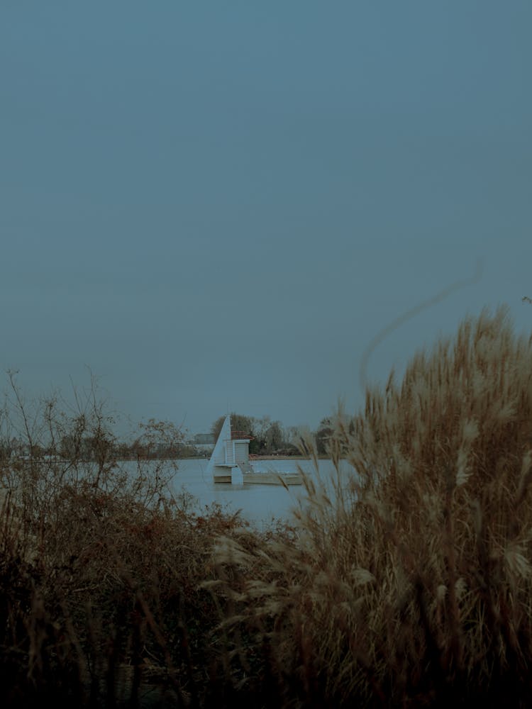 Grass On River Bank On Sunset