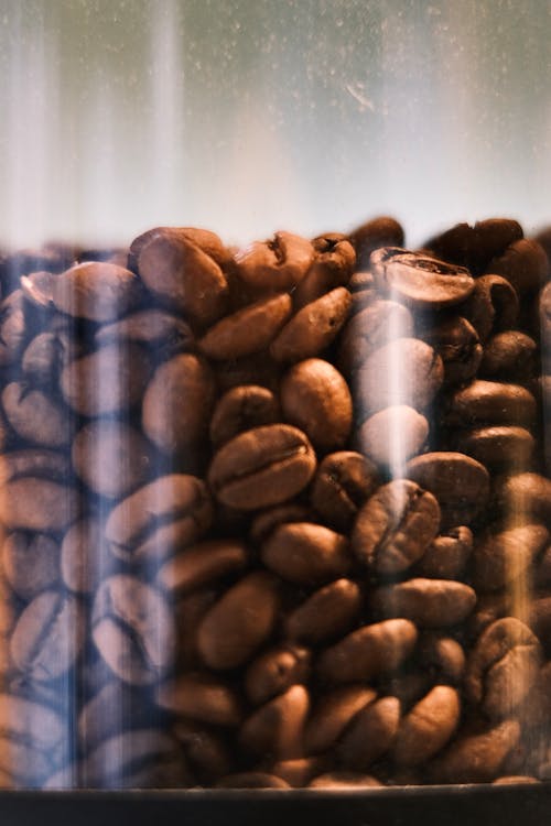 Free Close-Up Shot of Roasted Coffee Beans  Stock Photo