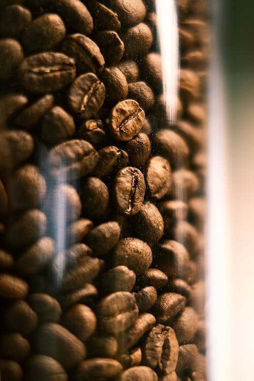 Free Coffee Beans in Close-Up Photography Stock Photo