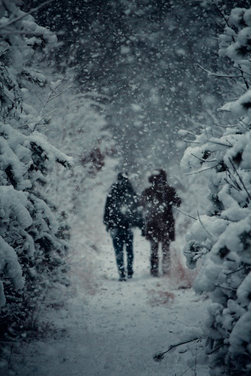 下雪, 公園, 冬季 的 免费素材图片