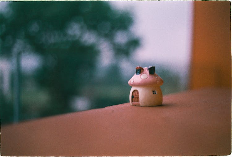 Close-up Of Fairy House Miniature