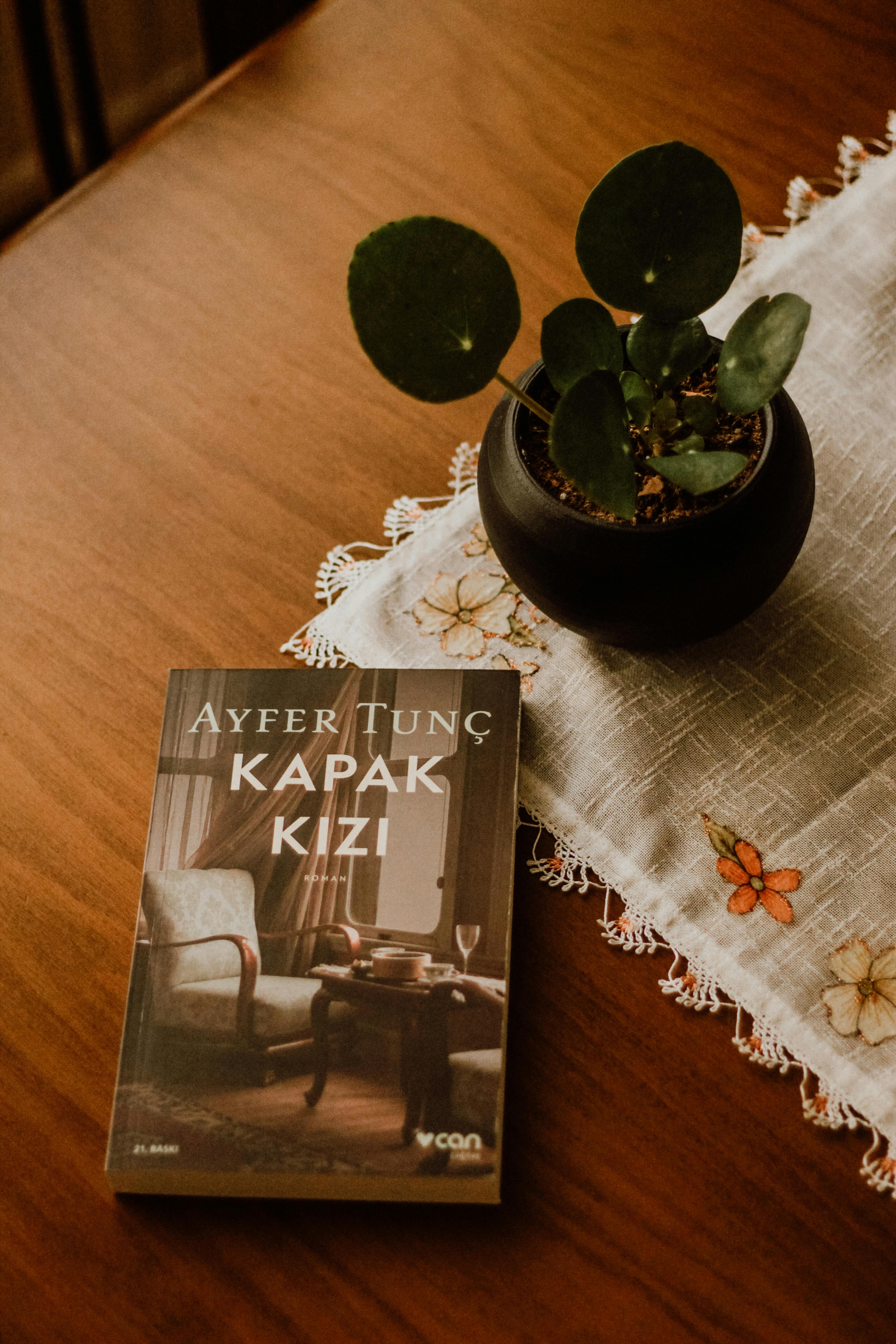 A book and potted plant on a wooden table creating a cozy reading vibe.