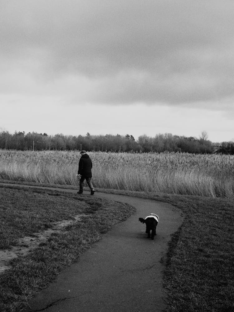 Man Walking A Dog In The Countryside