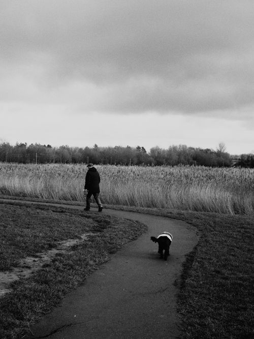 Free A senior man and dog walking on a rural pathway in a tranquil landscape. Stock Photo