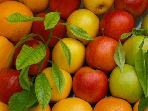 Gratis lagerfoto af æbler, appelsiner, blade