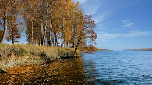 Immagine gratuita di autunno, daugava, fiume