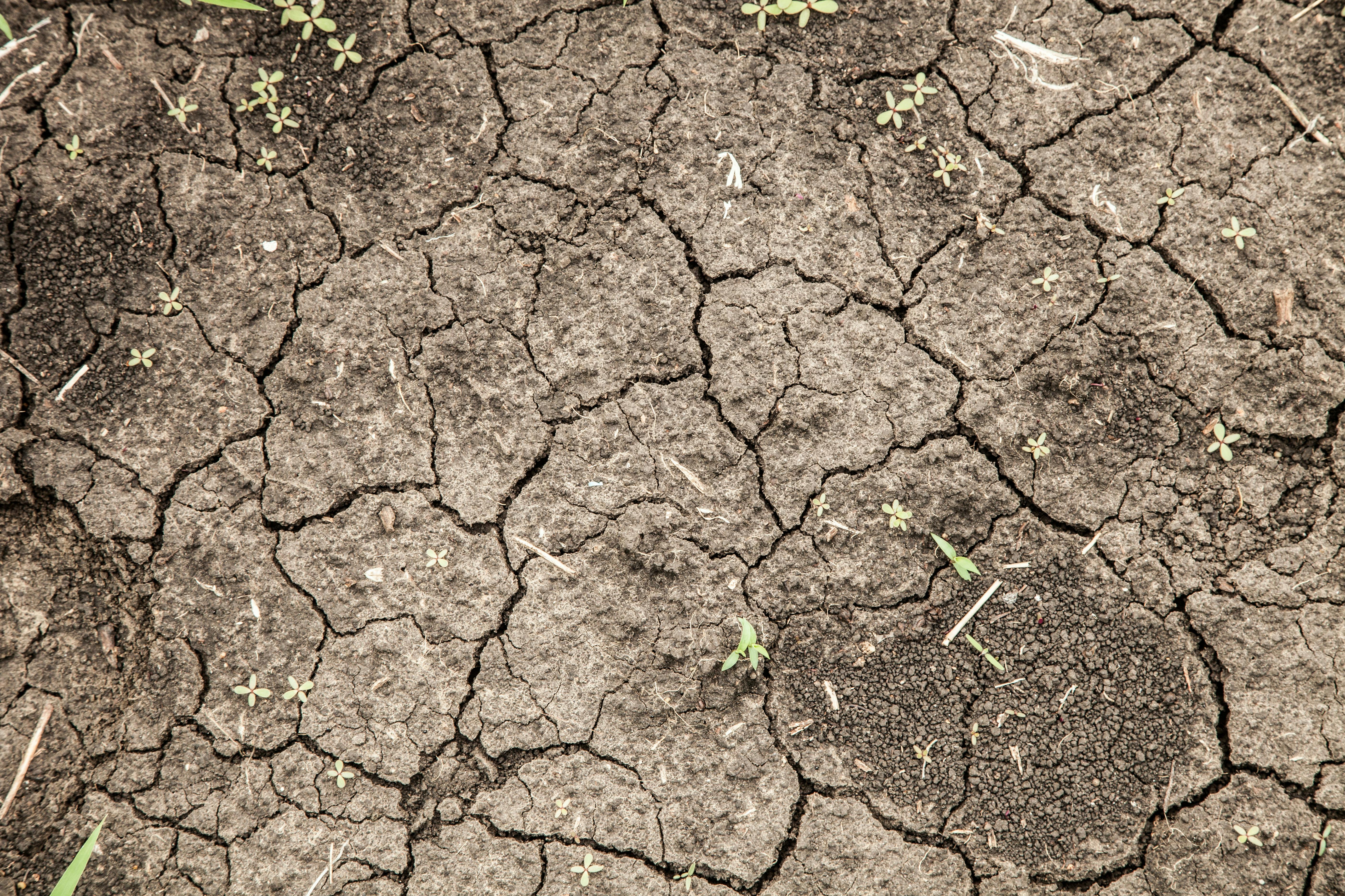 Free stock photo of background, earth, ground