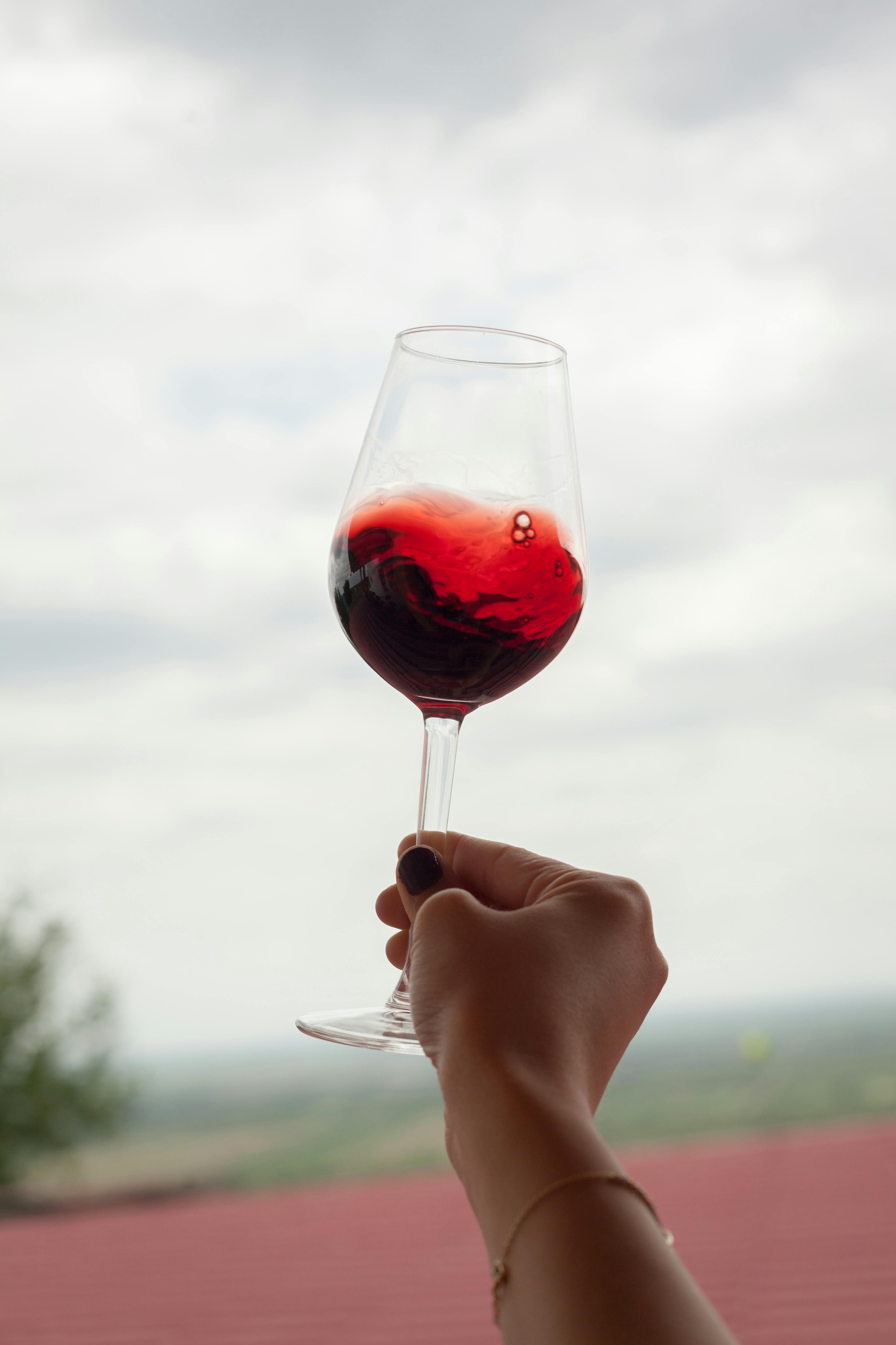 free-stock-photo-of-domeniile-blaga-glass-of-wine-red-wine