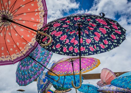 Imagine de stoc gratuită din roz, umbrelă, umbrelă de soare