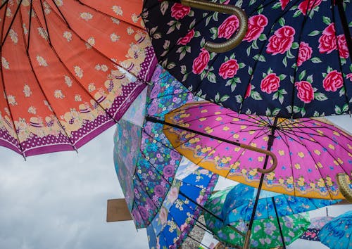 Kostenloses Stock Foto zu pink, regenschirm, regenschirme