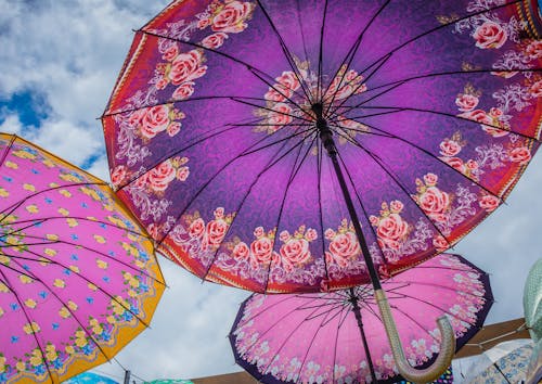 パラソル, ピンク, 傘の無料の写真素材