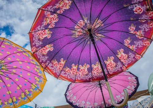 Kostenloses Stock Foto zu pink, regenschirm, regenschirme