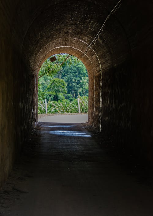 Kostenloses Stock Foto zu betonbau, landschaft, mtb