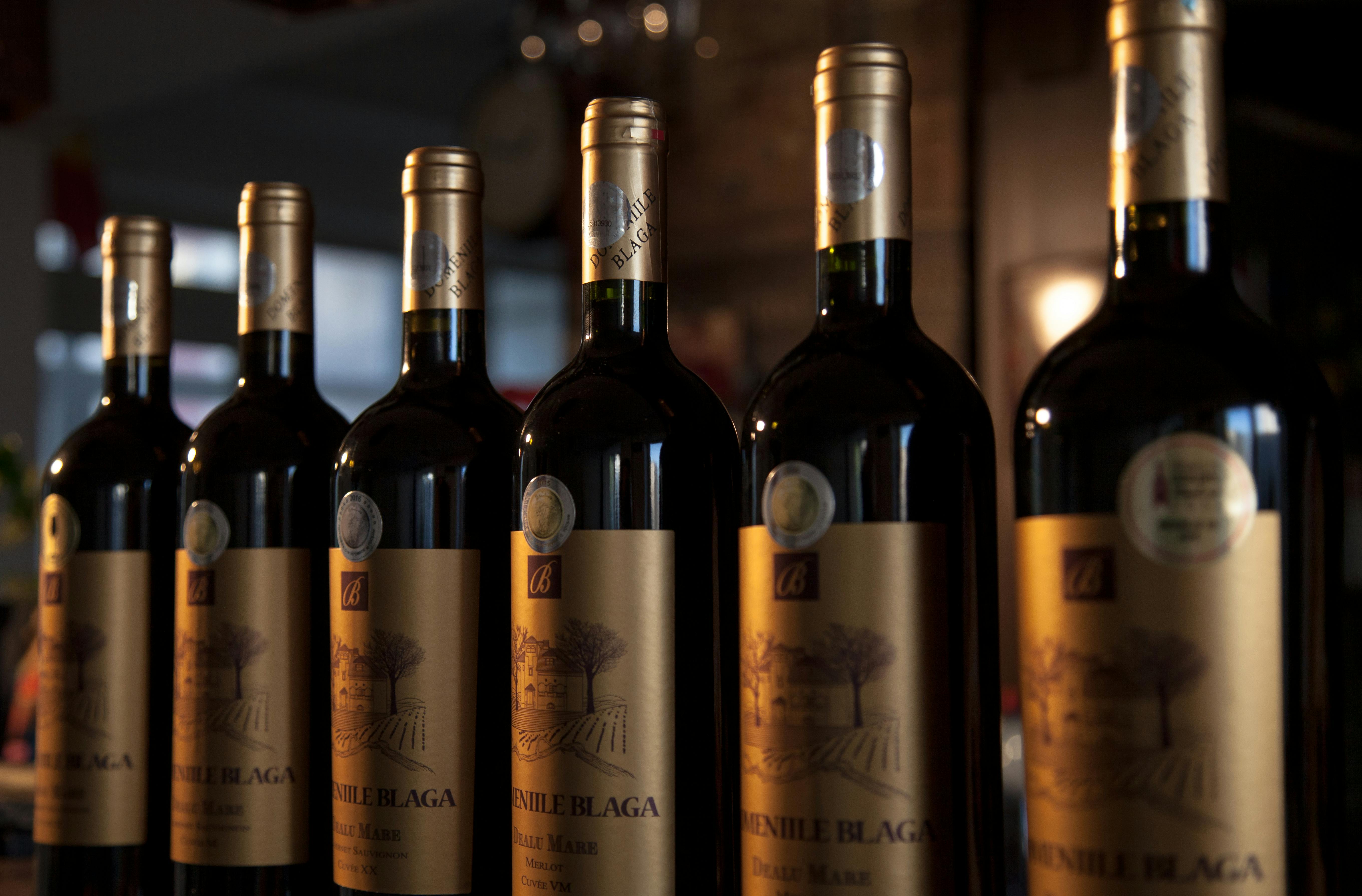 Free stock photo of domeniile blaga, premium wine, red wine