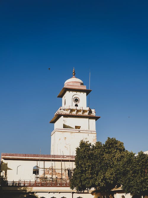 Foto profissional grátis de árvore, céu limpo, Índia