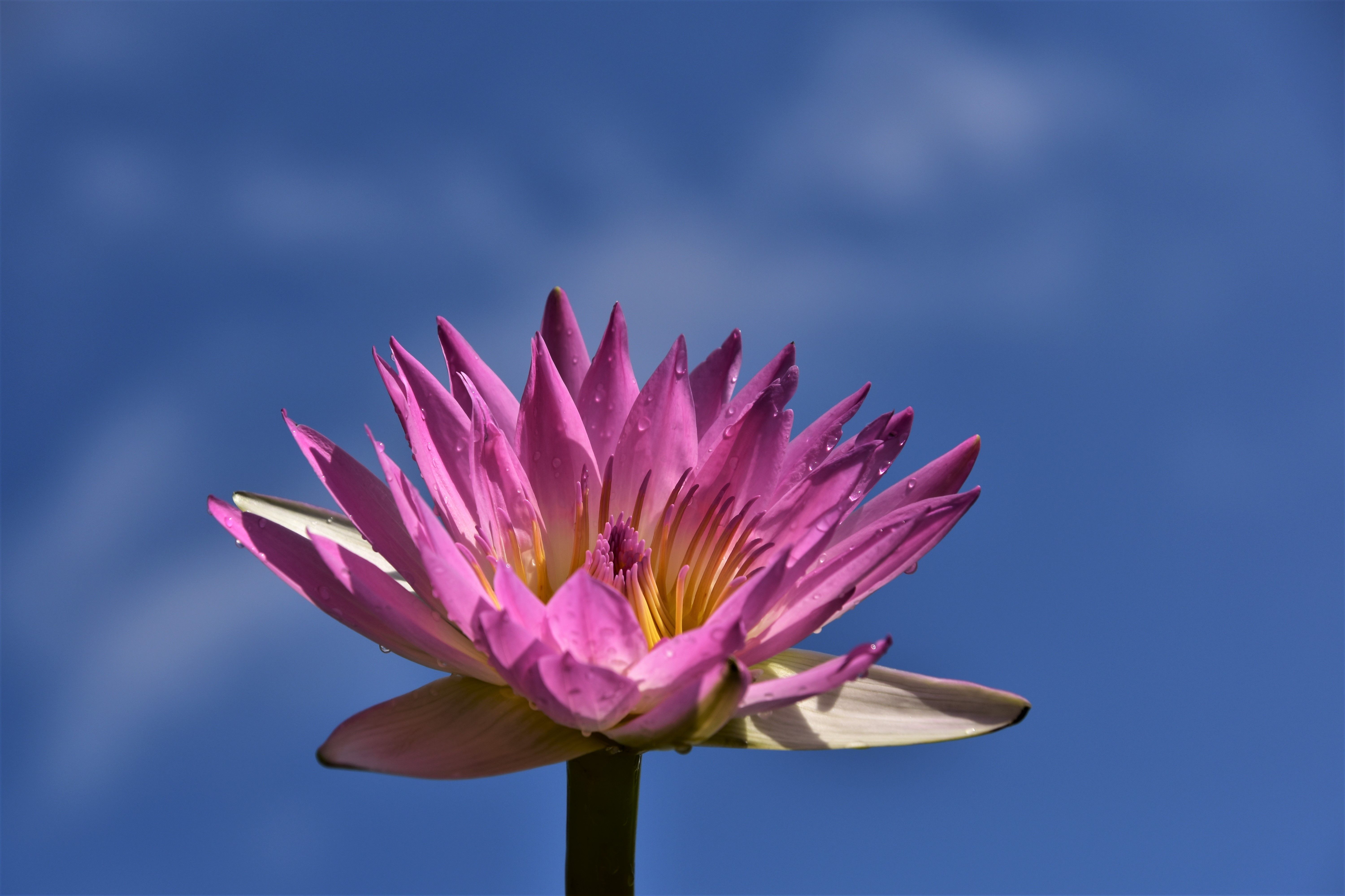 2880 X 1800 Wallpaper Photos, Download The BEST Free 2880 X 1800 — free download