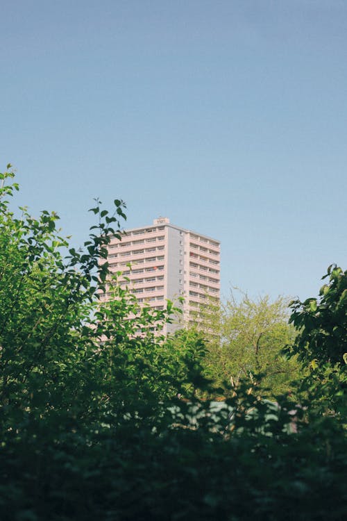 Concrete Building Near Green Trees Under Clear Blue Sky