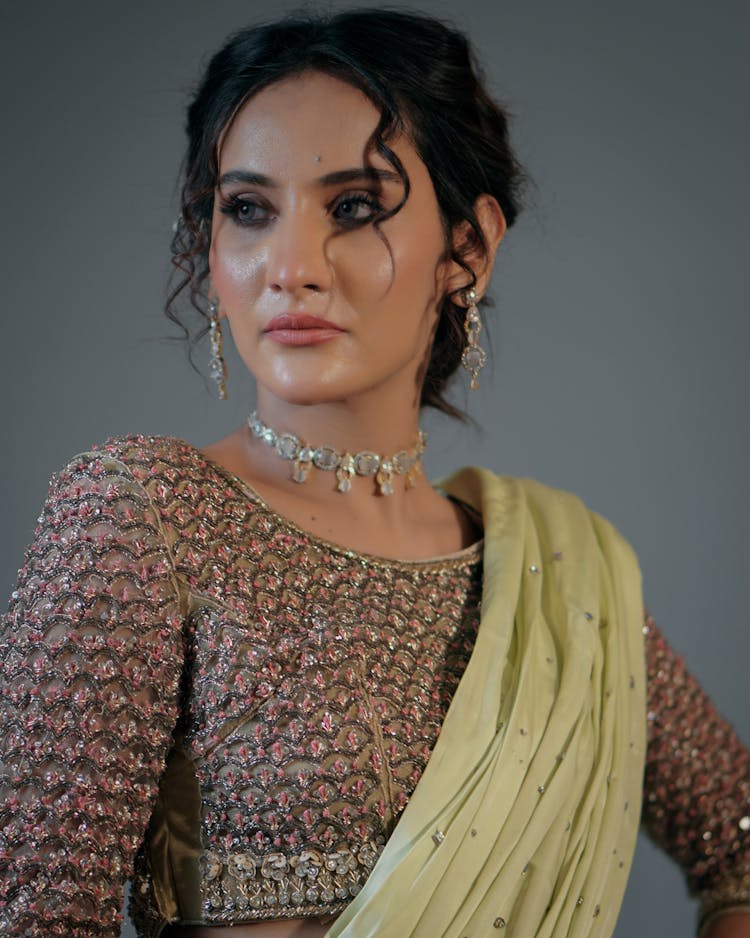 Woman In Yellow And Brown Saree Dress