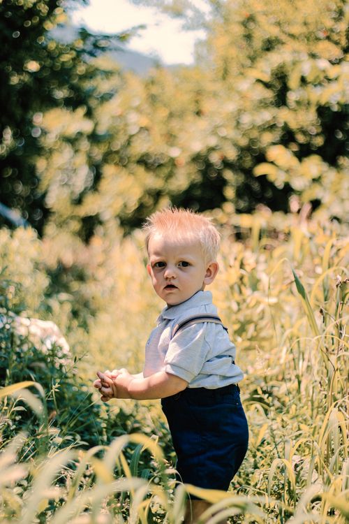 Free A little boy stands amidst tall grass in a sunlit summer meadow. Capturing childhood wonder. Stock Photo