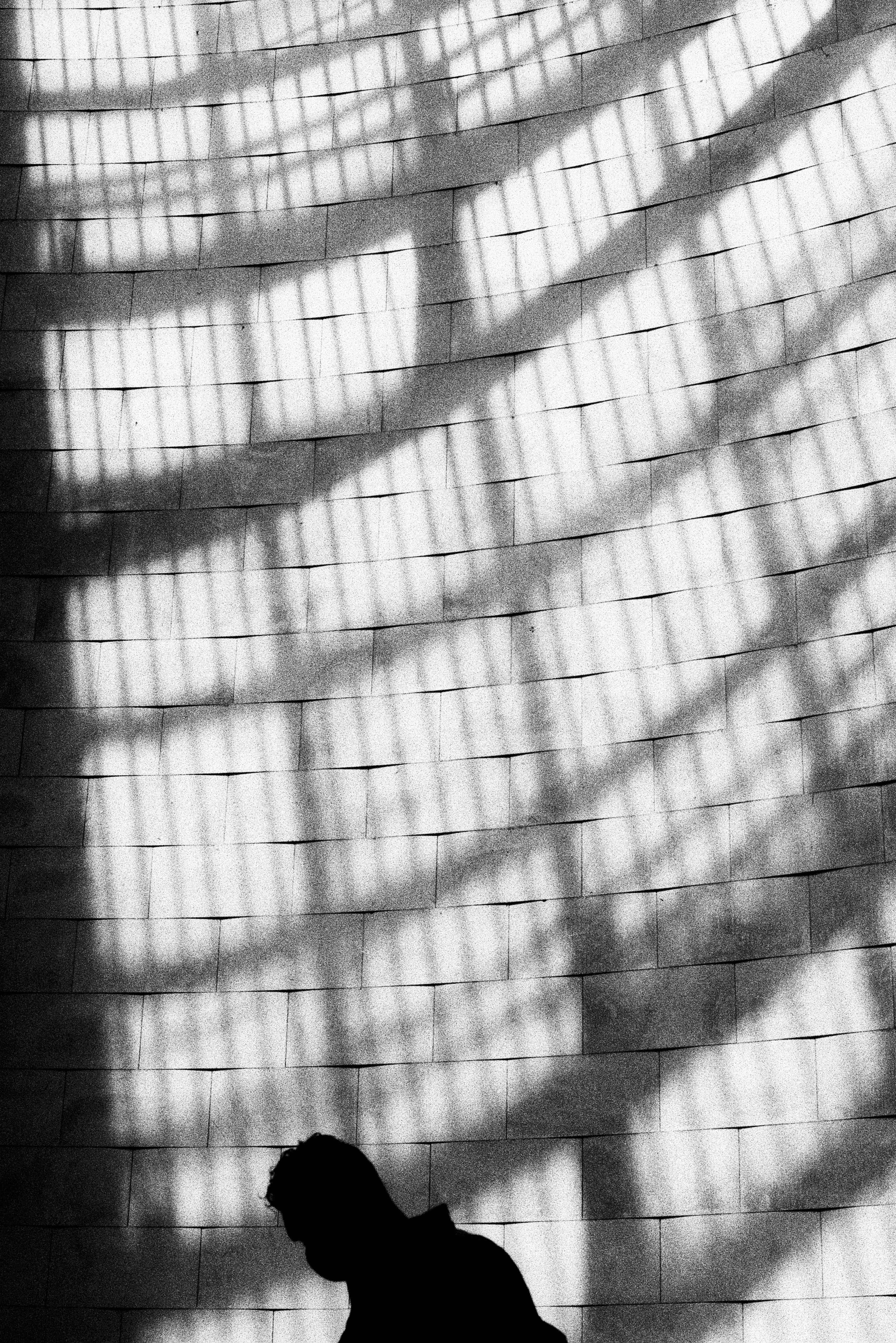 Black and white silhouette of a person with dramatic shadows in Lisbon.